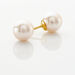Boucles D'oreilles Puces Akoya Or Jaune Perle De Culture D'akoya - Puces Femme | Marc Orian