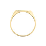 Chevali&egrave;re Plaqu&eacute; Or Jaune Alannis - Chevali&egrave;res Homme | Marc Orian