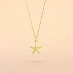 Collier Or Jaune Aenor Motif Etoile De Mer - Colliers ete Femme | Marc Orian