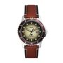 Montre Fossil Blue Vert