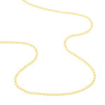 Collier Capucin Or Jaune Maille Marine Plate - Chaines Homme | Marc Orian