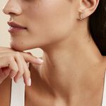 Boucles D'oreilles Puces Ambrosie Hippocampe Or Jaune - Puces Femme | Marc Orian