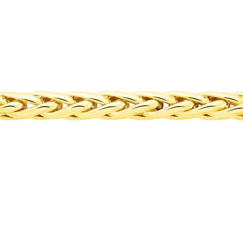 Collier Jany Danilo Maille Palmier Or Jaune - Chaines Femme | Marc Orian