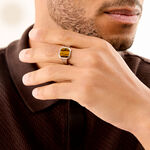 Bague M&eacute;tal Acier Argent&eacute; Oeil De Tigre - Bijoux fantaisie Homme | Marc Orian