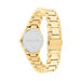 Montre Calvin Klein Admire Vert - Montres classiques Femme | Marc Orian