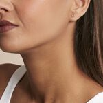 Boucles D'oreilles Puces Argent Rose Rio Santa Teresa Oxyde - Puces Femme | Marc Orian