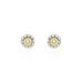 Boucles D'oreilles Puces Charletta Or Jaune Diamant - Puces Femme | Marc Orian