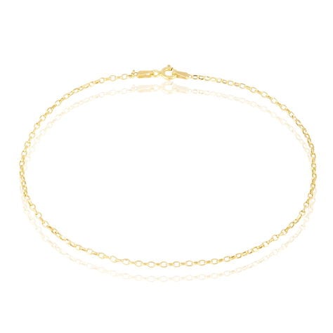 Chaîne De Cheville Maille Jaseron Or Jaune - Chaines de cheville Femme | Marc Orian