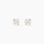 Boucles D'oreilles Puces Eddie Or Jaune Oxyde De Zirconium - Puces Femme | Marc Orian