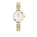 Montre Daniel Wellington Elan Lumine Blanc - Montres étanches Femme | Marc Orian