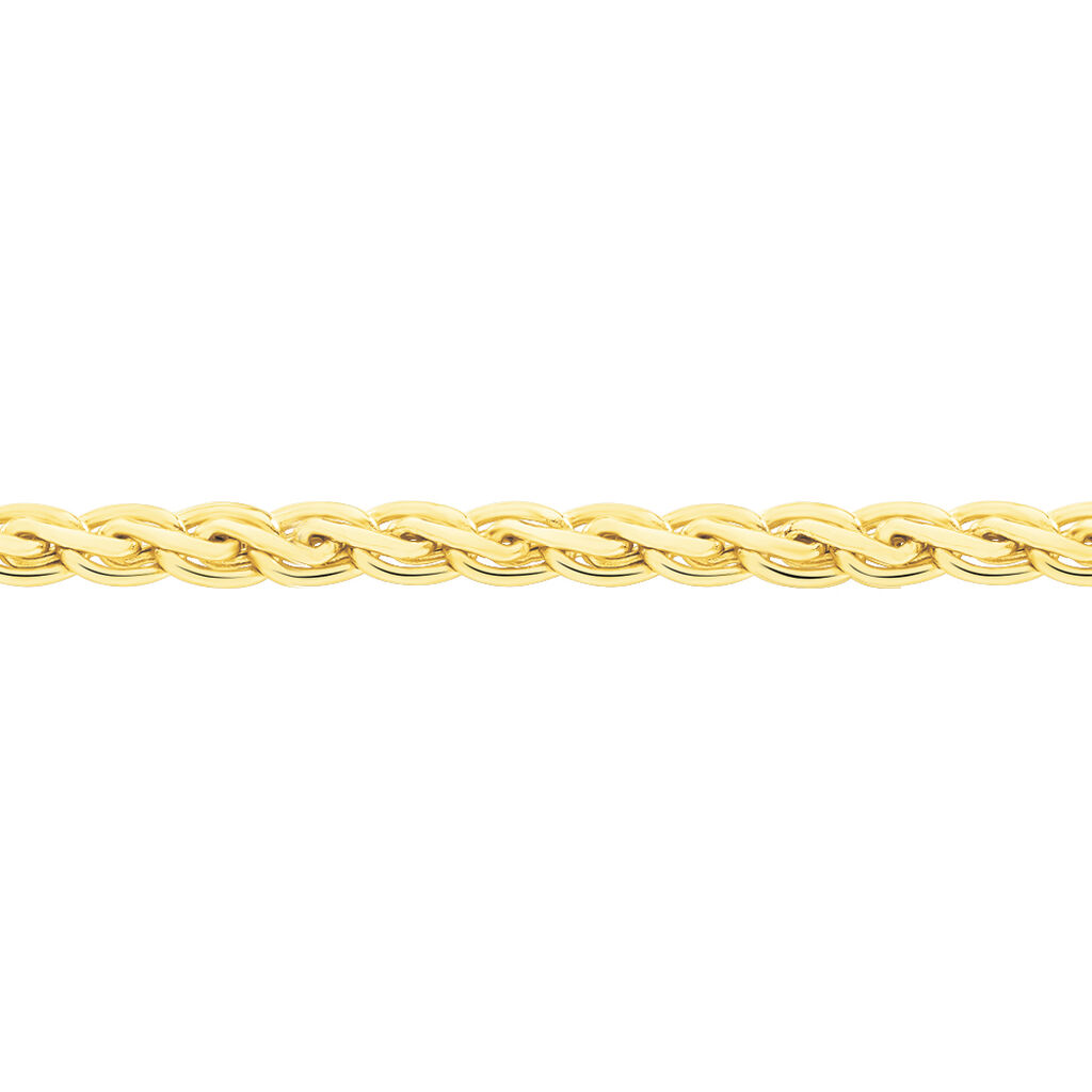 Collier Jayna Maille Palmier Or Jaune - Chaines Femme | Marc Orian