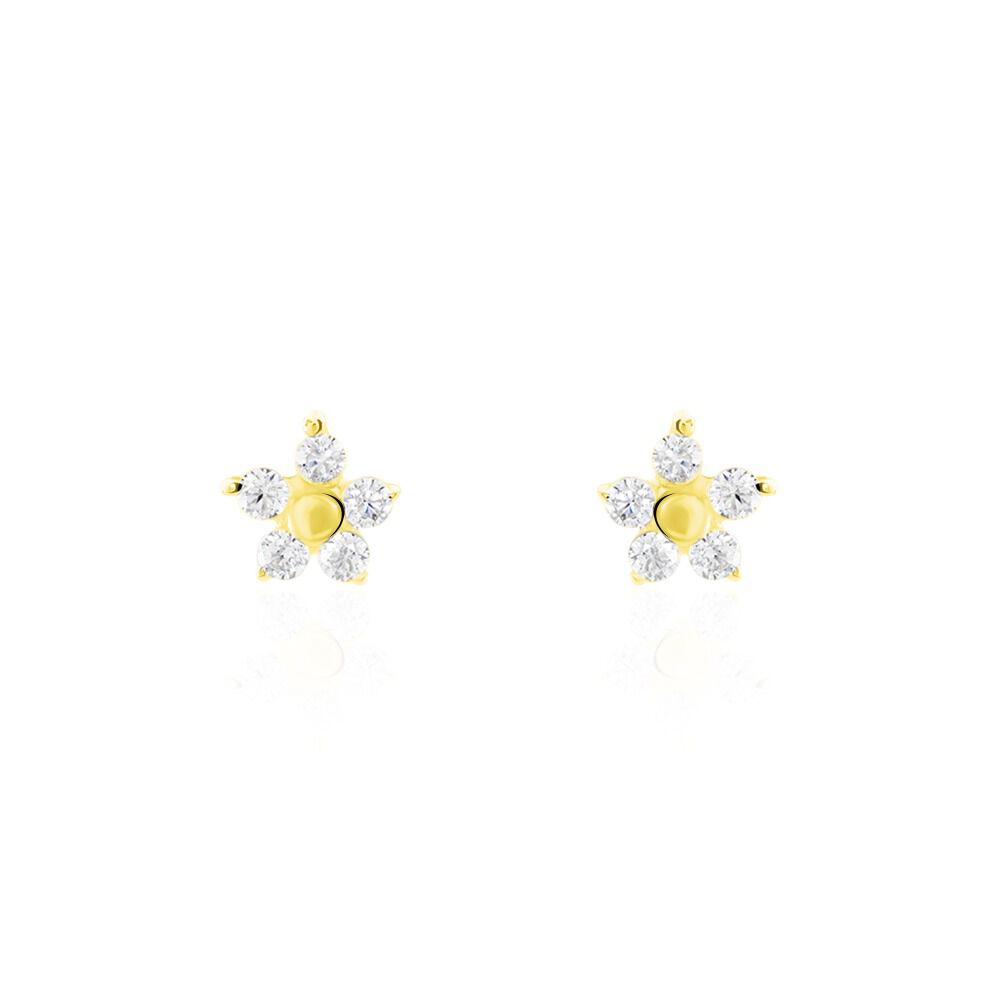Boucles D'oreilles Puces Or Jaune Convallaria Oxydes - Puces Femme | Marc Orian