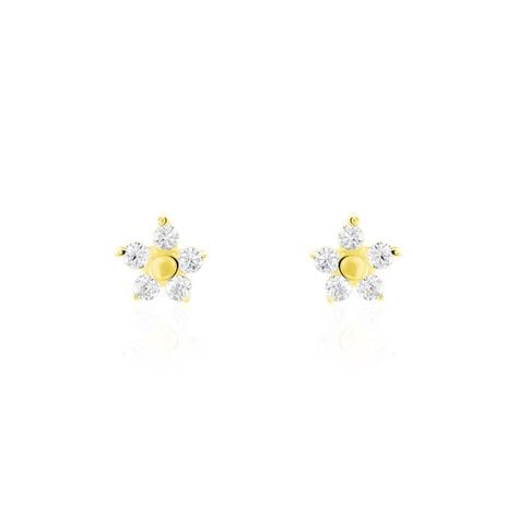 Boucles D'oreilles Puces Or Jaune Convallaria Oxydes - Puces Femme | Marc Orian