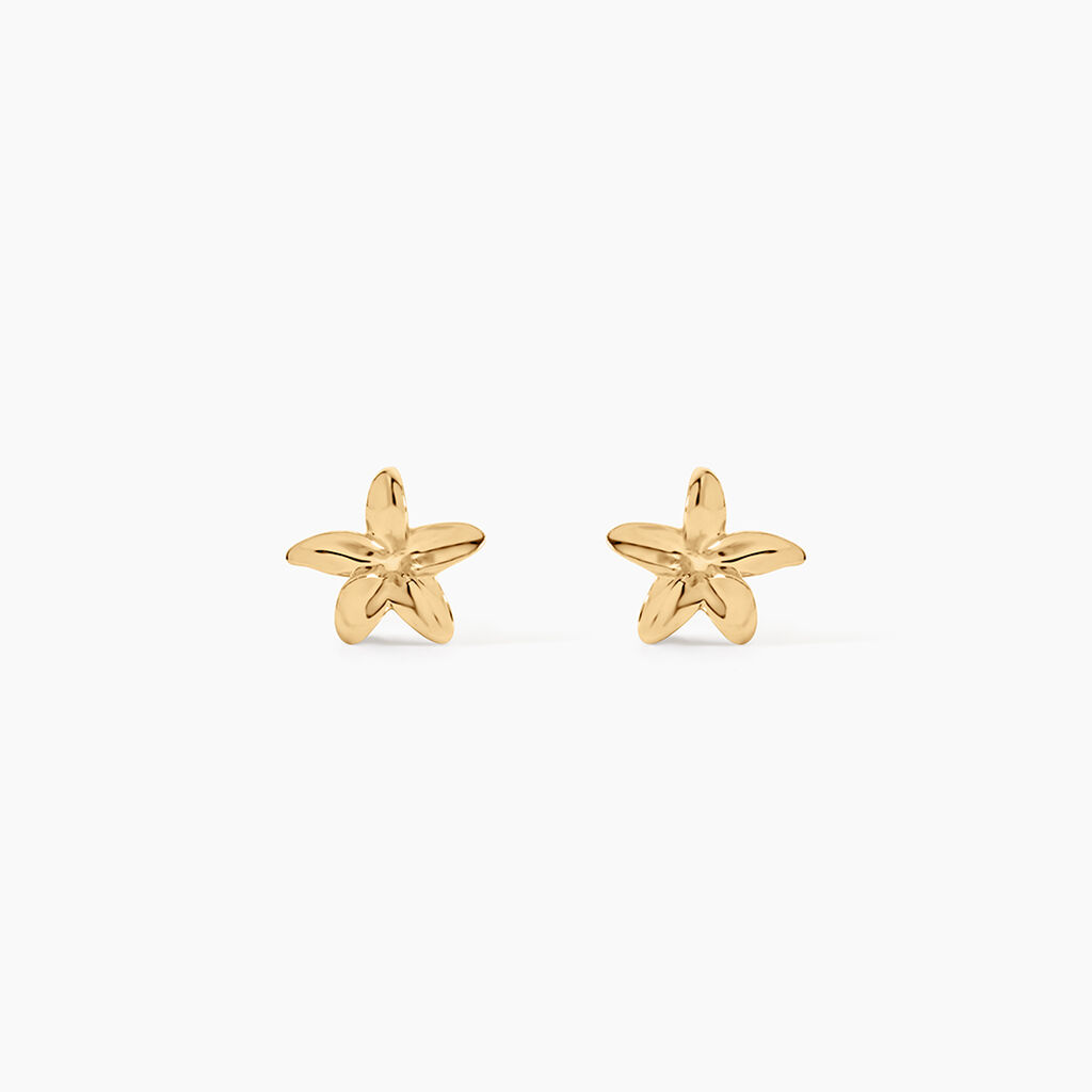 Boucles D'Oreilles Puces Nikita Argent Dor&eacute; A L'Or 750/1000 - Puces Femme | Marc Orian