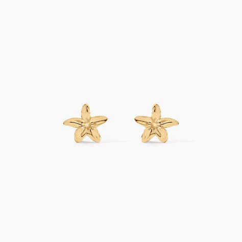 Boucles D'Oreilles Puces Nikita Argent Dor&eacute; A L'Or 750/1000 - Puces Femme | Marc Orian