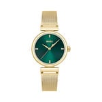 Montre Boss Rosehill Vert - Montres &eacute;tanches Femme | Marc Orian