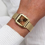 Montre Cluse Gracieuse Petite Marron - Montres &eacute;tanches Femme | Marc Orian