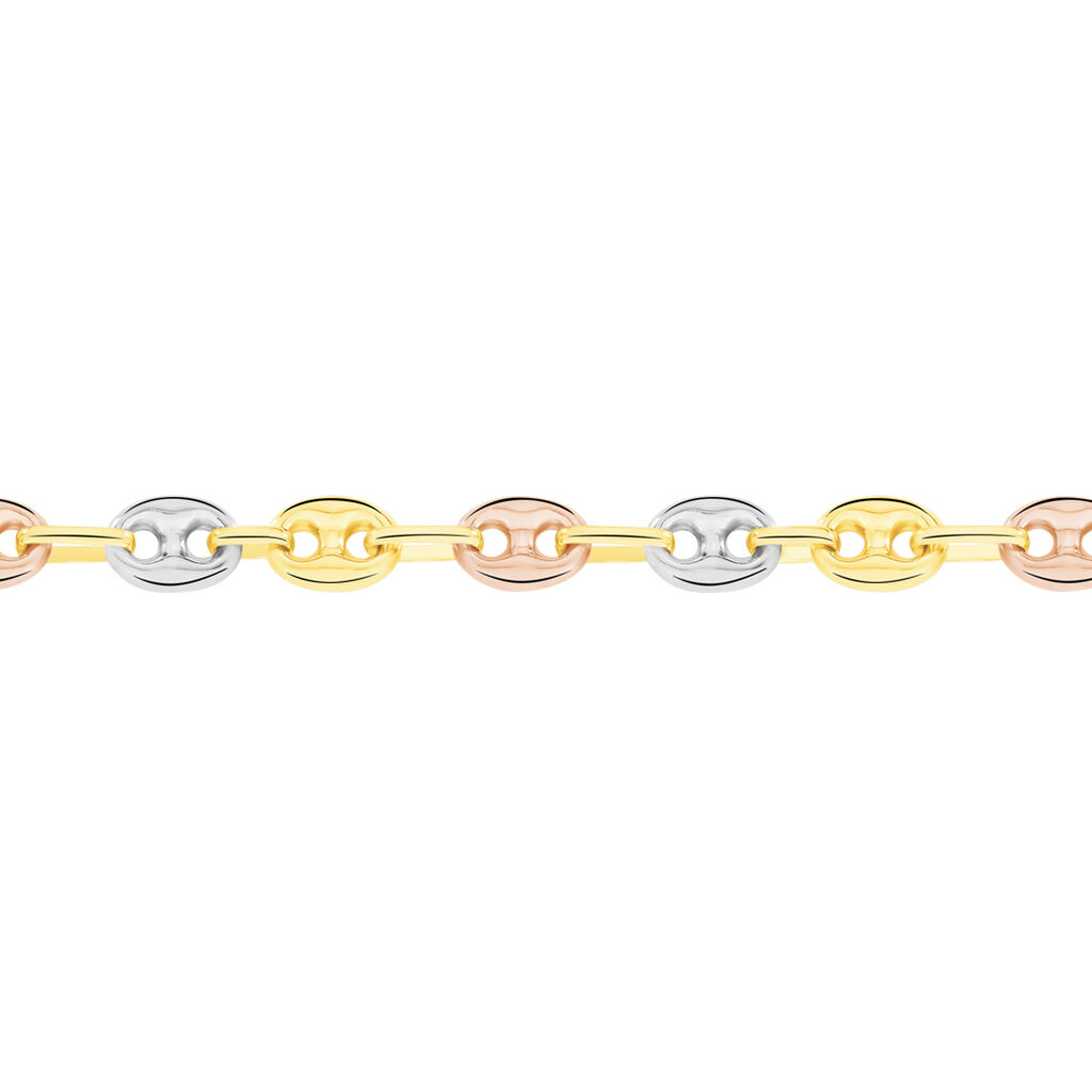 Collier Dami Maille Grain De Cafe Or Tricolore - Chaines Homme | Marc Orian