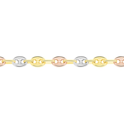 Collier Dami Maille Grain De Cafe Or Tricolore - Chaines Homme | Marc Orian