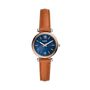 Montre Fossil Fsl Carlie Mini Bleu