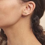 Boucles D'oreilles Puces Bartolomea Feuilles Or Jaune - Puces Femme | Marc Orian
