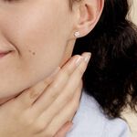 Boucles D'oreilles Puces Eleanor Fleur Or Jaune Oxyde De Zirconium - Puces Femme | Marc Orian