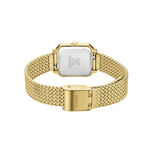 Montre Cluse Gracieuse Mini Marron - Montres &eacute;tanches Femme | Marc Orian