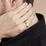 Chevali&egrave;re Plaqu&eacute; Or Jaune Louie - Chevali&egrave;res Homme | Marc Orian