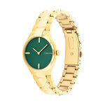 Montre Calvin Klein Admire Vert - Montres classiques Femme | Marc Orian