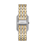 Montre Fossil Raquel Nacre - Montres &eacute;tanches Femme | Marc Orian