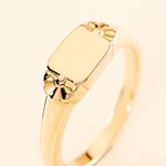 Chevali&egrave;re Darian Plaqu&eacute; Or Jaune - Bijoux fantaisie Femme | Marc Orian