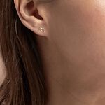 Boucles D'oreilles Puces Fulvie Dauphin Or Jaune - Puces Femme | Marc Orian