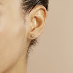 Boucles D'oreilles Puces Lapin Or Or Jaune - Puces Enfant | Marc Orian