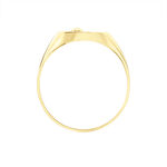 Chevali&egrave;re Glynn Or Jaune Onyx Diamant - Chevali&egrave;res Homme | Marc Orian