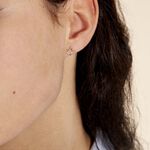 Boucles D'oreilles Puces Alphonsine Etoile De Mer Or Jaune - Puces Femme | Marc Orian