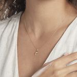 Pendentif Haizia Dauphin Or Jaune - Pendentifs Famille | Marc Orian