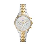 Montre Fossil Neutra Blanc - Montres classiques Femme | Marc Orian