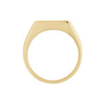 Chevali&egrave;re Kauai Plaqu&eacute; Or Jaune Pierre De Synthese - Bijoux fantaisie Homme | Marc Orian