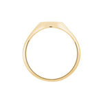 Chevali&egrave;re Gregoire Plaqu&eacute; Or Jaune - Bijoux fantaisie Famille | Marc Orian