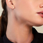 Boucles D'oreilles Puces Foliel Or Jaune - Puces Femme | Marc Orian