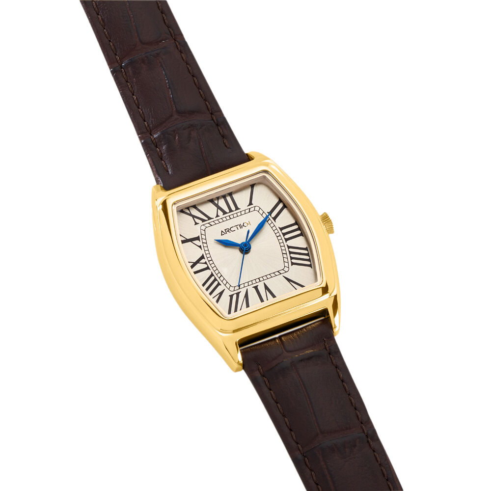 Montre Arctik Globe Argent&eacute; - Montres &eacute;tanches Homme | Marc Orian
