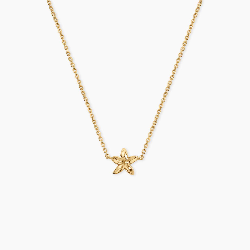 Collier Nine Argent Dor&eacute; A L'Or 750/1000 - Colliers ete Femme | Marc Orian