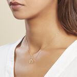 Pendentif Egide Fer A Cheval Or Jaune - Pendentifs Famille | Marc Orian