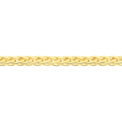 Collier Jany Maille Palmier Or Jaune - Chaines Femme | Marc Orian
