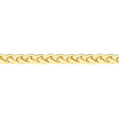 Collier Jany Danilo Maille Palmier Or Jaune - Chaines Femme | Marc Orian