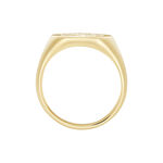 Chevali&egrave;re Gautier Plaqu&eacute; Or - Chevali&egrave;res Homme | Marc Orian