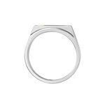 Chevali&egrave;re Jourdan Lord Acier Bicolore Diamant - Solitaires Homme | Marc Orian