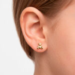 Boucles D'oreilles Puces Ours Or Or Jaune - Puces Enfant | Marc Orian