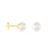 Boucles D'oreilles Puces Akoya Or Jaune Perle De Culture D'akoya - Clous d'oreilles Femme | Marc Orian