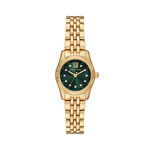 Montre Michael Kors Petite Lexington Vert - Montres &eacute;tanches Femme | Marc Orian